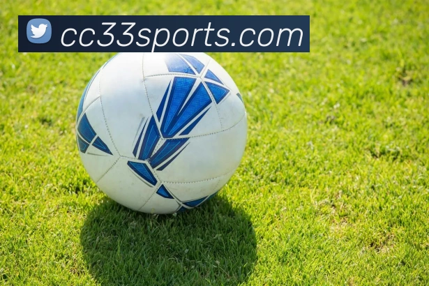 体育下注APP 封面图